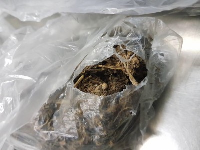 ވައިގެ މަގުން އެތެރެކުރަން އުޅުނު މިލިއަނެއްހާ ރުފިޔާގެ ޑުރަގު ހިފަހައްޓައިފި، ބަރުދަނުގައި 1.2 ކިލޯގްރާމް ހުރި