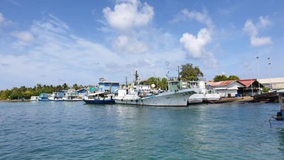 މިއަދު ޕޮޒިޓިވް ކޭސް ގިނައީ ފެލިވަރުގައި، މާލޭގައި 59 ކޭސް