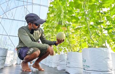 ގޮއިދޫ: މި ހިތްހެޔޮކަމާއި ރީތި ކަމުގައި މަދީ "ރަން ބިސްއަޅާ ކުކުޅެއް"!