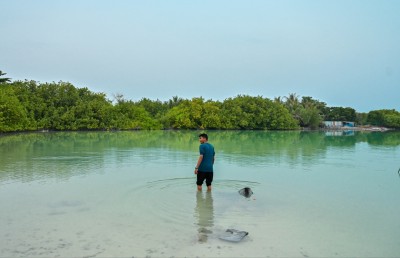 ނަލަންދޫ: ގުދުރަތީ ފުރިހަމަ ކަމުގެ އަޖައިބެއް