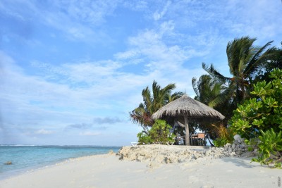 ވ.ތިނަދޫ ވެސް މޮނީޓަރިން އަށް