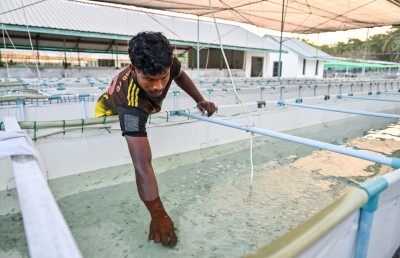 ނަލަންދޫ: ގުދުރަތީ ފުރިހަމަ ކަމުގެ އަޖައިބެއް
