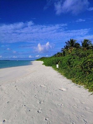 މަތިވެރިން ދަތުރުކުރި ބަޔަކު ޕޮޒިޓިވްވެ ހަނިމާދޫ މޮނީޓަރިން އަށް