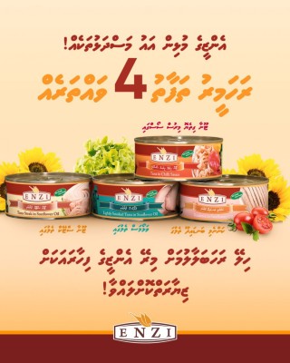 އެންޒީއިން އައު ހަތަރު ވައްތަރެއްގެ މަސްދަޅު ތައާރަފުކޮށްފި