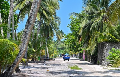 ކޮންމެ ދުވަހަކު ދަތުރު ހަދާފައި ވަޒީފާއަށް ދާ ޒުވާނުން