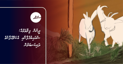 ދީނުން ފިލާވަޅެއް: ޝުއައިބުގެފާނާއި އެކަލޭގެފާނުގެ ދަރިކަނބަލުން