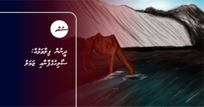 ދީނުން ފިލާވަޅެއް: ސޯލިހުގެފާނާއި ޖަމަލު