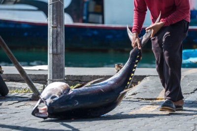 ބޮޑު ކަންނެލި މަސްވެރިންނަށް ފައިސާ ލިބުމުގައި ހުރި ދަތިތައް ހައްލުކުރުން އަވަސްކުރަން ޖެހޭ: ސިޔާމް