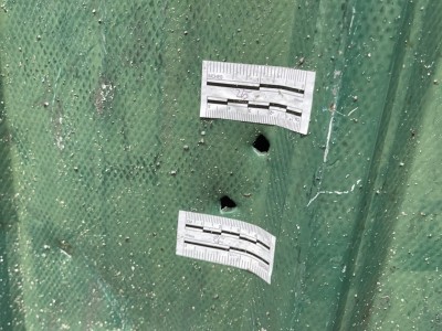 ނަޝީދަށް އަމާޒުކުރި ބޮމުގެ ބާރުގަދަ، ޓިނުތައް ވެސް ފޫ އަޅުވާލި