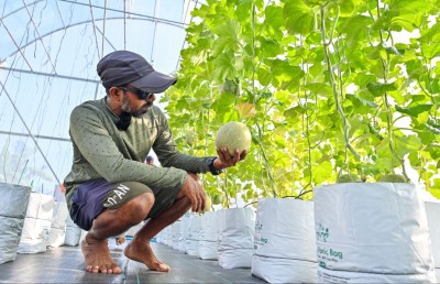 ހާފިޒެއް، އިމާމެއް، ދަނޑުވެރިއެއް