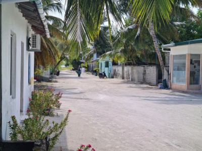 ދާންދުއިން ކޮވިޑު ޖެހި ފަރުވާދެމުން ދިޔަ މީހަކު މަރުވެއްޖެ