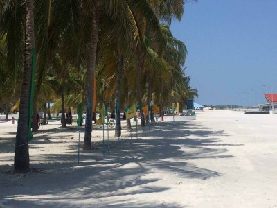 މަކުނުދޫ އިން އަށް މީހަކު ކޮވިޑަށް ޕޮޒިޓިވްވެ ރަށް މޮނިޓަރިންނަށް ލައިފި