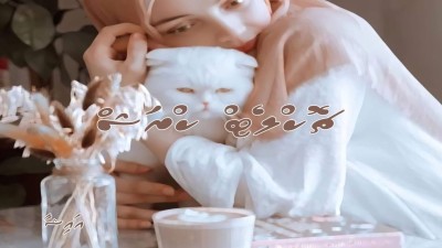 ޗޮކްލެޓް ކްރަޝް 17