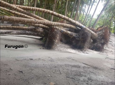 ކައުންސިލުން ހުއްދަ ދިނަސް އީޕީއޭގެ ހުއްދަ ނެތި ރަށްރަށުން ރުއް ގަސް ނުނެގޭނެ