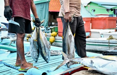 ކޮންމެ ސަބްސިޑީއަކާއި ޑިސްކައުންޓަކަށް ރައްޔިތުން އަގު ދައްކާނެ!