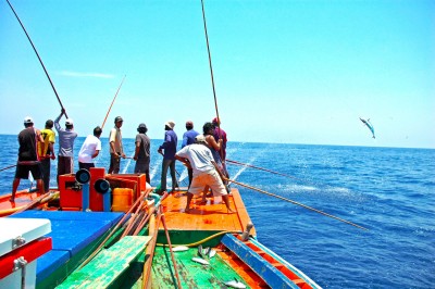 އެޑްވަޓޯރިއަލް: ދިވެހިންގެ މެދުގައި ނަން މަޝްހޫރު ކާސްޓްރޯލް!