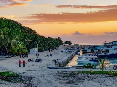 ހާލަތު ގޯސް، ހަފްތާއެއްތެރޭ ފޯކައިދުއިން 100 އަށްވުރެ ގިނަ ކޭސް