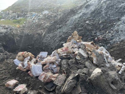 ކަސްޓަމްސްގެ ބެލުމުގެ ދަށުގައި ހުރި ގިނަ އަދަދެއްގެ އޫރުމަހާއި ބަނގުއާވި ނައްތާލައިފި