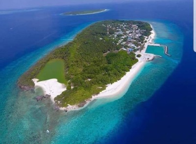 ފްލޫ ކްލިނިކަށް ދެއްކި މީހަކު ޕޮޒިޓިވްވެ ތަކަންދޫ މޮނިޓަރިންއަށް