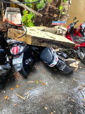 ވިއްސާރާގައި ސަލާ ތައި ރެސްޓޯރެންޓް ތެރޭ ހުރި ގަހެއް ލުހިގެން ވެއްޓިއްޖެ