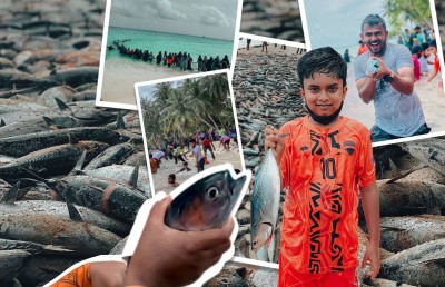 ހުޅަނގު މޫސުމުގެ "ރާގޮނޑި އީދަށް" ހޭ އަރާ ބުރުނީގެ ފަޅު