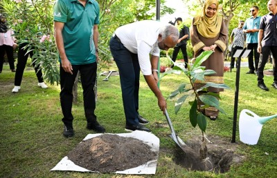ފަސް މިލިއަން ގަސް އިންދުމުގެ މަޝްރޫއު ރައީސް ފައްޓަވައިދެއްވައިފި
