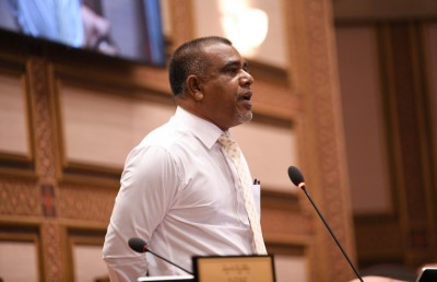 ނަޝީދަށް ޖާނުން ފިދާވުމުގެ ހަމަލާއެއް ދީފާނެ: ހަލީމް