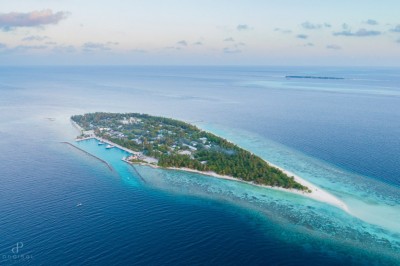 މަސް ފެންގަނޑަކަށް ވެއްޓި 11 މަހުގެ ކުއްޖަކު މަރުވެއްޖެ