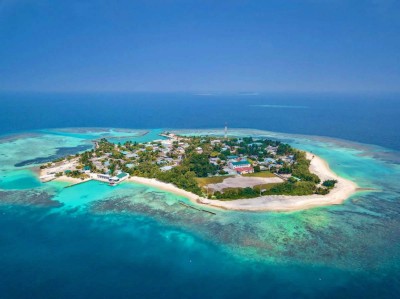 ގާތުން ދެނިކޮށްް، ފުއްޕާމެއަށް ކިރު އެޅިގެން ތުއްތުކުއްޖަކު ނިޔާވެއްޖެ