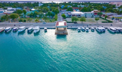 ތިނަދޫން ކުއްޖާ މަރުވީ ކޮވިޑްގެ ސަބަބުން ނޫން ކަމަށް ކަނޑައަޅައިފި