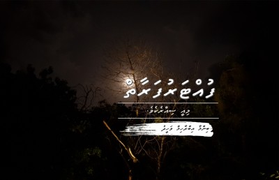 ފުއްޓަރުފަރާތް