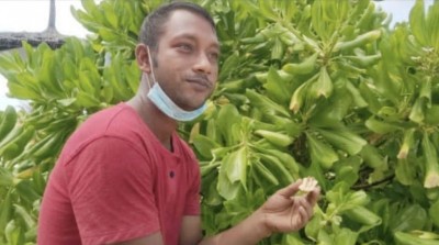 ޓުއާ ގައިޑެއް ކަމަށް ބުނެ ފަތުރުވެރިއެއްގެ އަތުން ވައްކަން ކުރި ބަންގްލަދޭޝް މީހަކު ހޯދަނީ