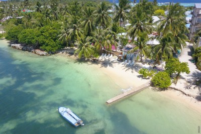 ގުރައިދޫގައި ކުޑަ ކުއްޖަކު މޫދަށް ގެނބިގެން މަރުވެއްޖެ
