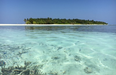 އޮމަދޫގައި މަސްފެންގަނޑަކަށް ވެއްޓި 11 މަހުގެ ކުއްޖަކު މަރުވެއްޖެ