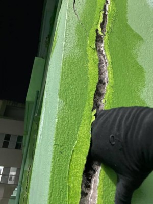 އަރަބިއްޔާގެ ކުރަންޖެހޭ މަރާމާތުތައް އެނގޭނީ ސްޓްރަކްޗްރަލް އެސެސްމެންޓެއް ހަދައިގެން: މިނިސްޓްރީ