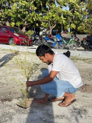 އަޅާނީ ޓާފްތޯ، ހައްދާނީ މިރުހާއި ދޮންކެޔޮތޯ ނިންމާނީ މީދޫގެ ޒުވާނުން: މަހުލޫފް