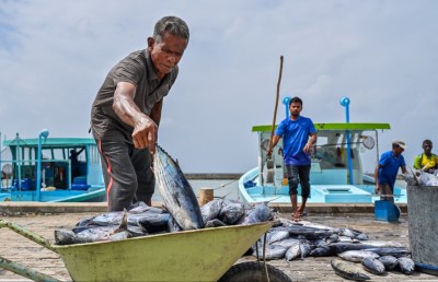 މަސްވެރިންގެ ދަފްތަރު އެކުލަވާލަން މިނިސްޓްރީގެ ޓީމްތައް ރަށްރަށަށް