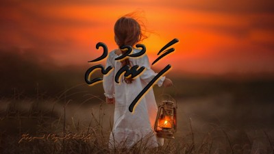 ފާނޫޒު 13