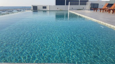 ސްވިމިން ޕޫލަކަށް ވެއްޓުނު ތުއްތު ކުއްޖަކު ނިޔާވެއްޖެ