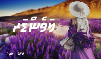 ލަވެންޑަރ 37