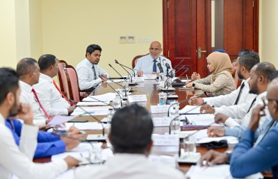 4،000 ފްލެޓްގެ ތެރޭގައި ކަސްޓަމްސްގެ 100 ފްލެޓް ނުހިމެނޭ: ހައިދަރު