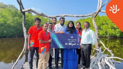 ދިރާގު ޓީވީ އަދި ދިރާގު ފައިބާ އިންޓަނެޓްގެ ހިދުމަތް ކެނދިކުޅުދުއަށް