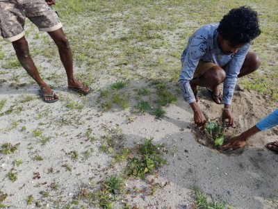 މާކުރަތު ޓާފް ދަނޑުގެ މަސައްކަތް ލަސްވާތީ ޒުވާނުން ނުކުމެ ދަނޑުގައި ކަރާ އިންދައިފި