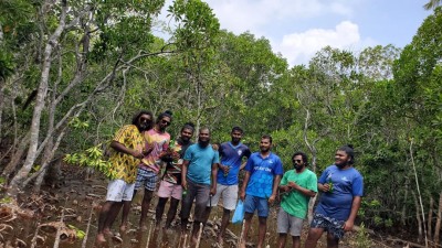 ލަންދޫން ކުއްޅަވަށް ނެތިދާނެކަމުގެ ބިރަށް، ގިނަ އަދަދެއްގެ ކުއްޅަވައް ގަސް އިންދަނީ