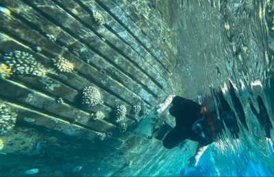 މިނިސްޓަރު ވެސް ބިރުކަނޑާލައިފައި ދަރިވަރުންނާ އެކު ސްނޯކްލިން އަށް!