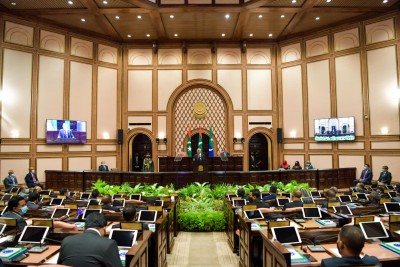 ރިޔާސީ ބަޔާން އިއްވަން ބާއްވާ ޖަލްސާ ޕީޕީއެމް، ޕީއެންސީން ބޮއިކޮޓްކޮށްފި