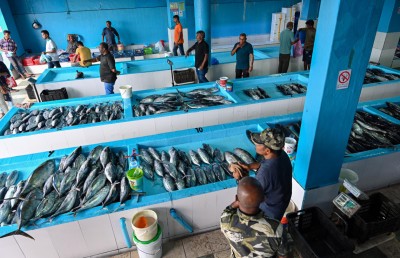 މަސްވެރިކަން ރަނގަޅުވާން ފަށައިފި، މާލެ ކައިރީގައި މަސްކިރާ ބޯޓެއް