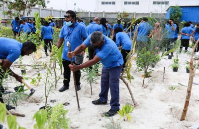 6000 ގަސް އިންދުމަށް އަމާޒު ހިފައި މިއަހަރުގެ "ސްޓެލްކޯ ރަށްފެހި" ޕްރޮގްރާމް ފަށައިފި
