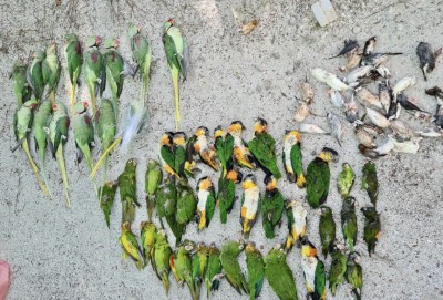 ދޫނިތައް މަރާލި މައްސަލަ ބަލައި ފިޔަވަޅު އަޅާނަމޭ ބުންޏަސް، އެކަން ވާނެތަ!؟