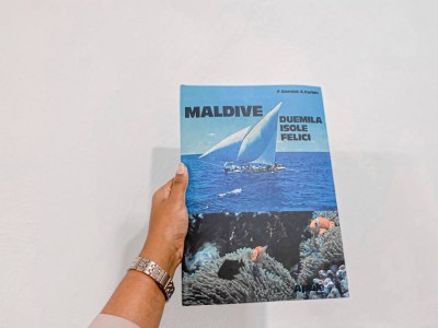 ކޯބިން އާއި ބާނިނީގެ "ޓޫ ތައުޒަން އެންޗާންޓެޑް އައިލެންޑްސް" ނެރެފި